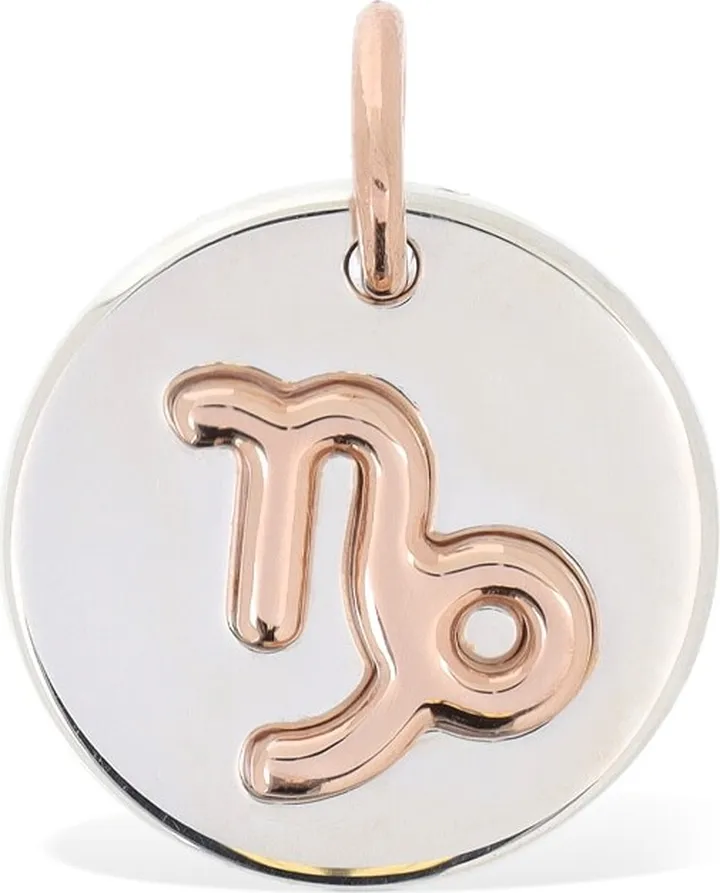 9kt Rose gold & silver Capricorn charm
