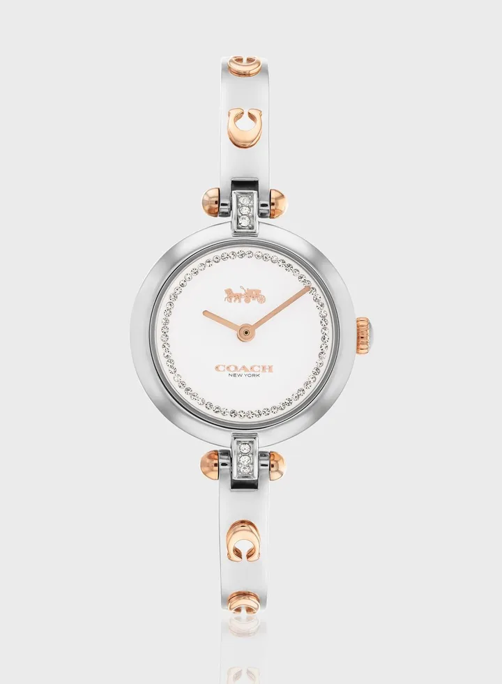 Cary Steel Strap Analog Watch