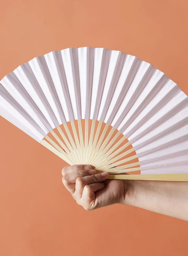 Pink Hand Fan