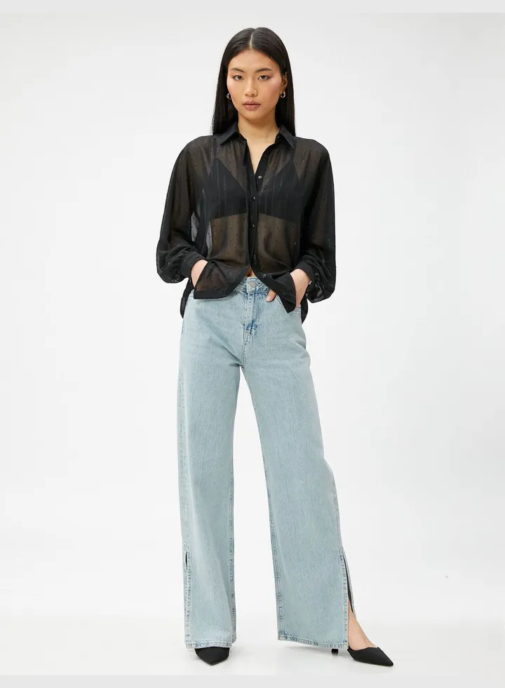 Long Sleeve Silvery Chiffon Shirt