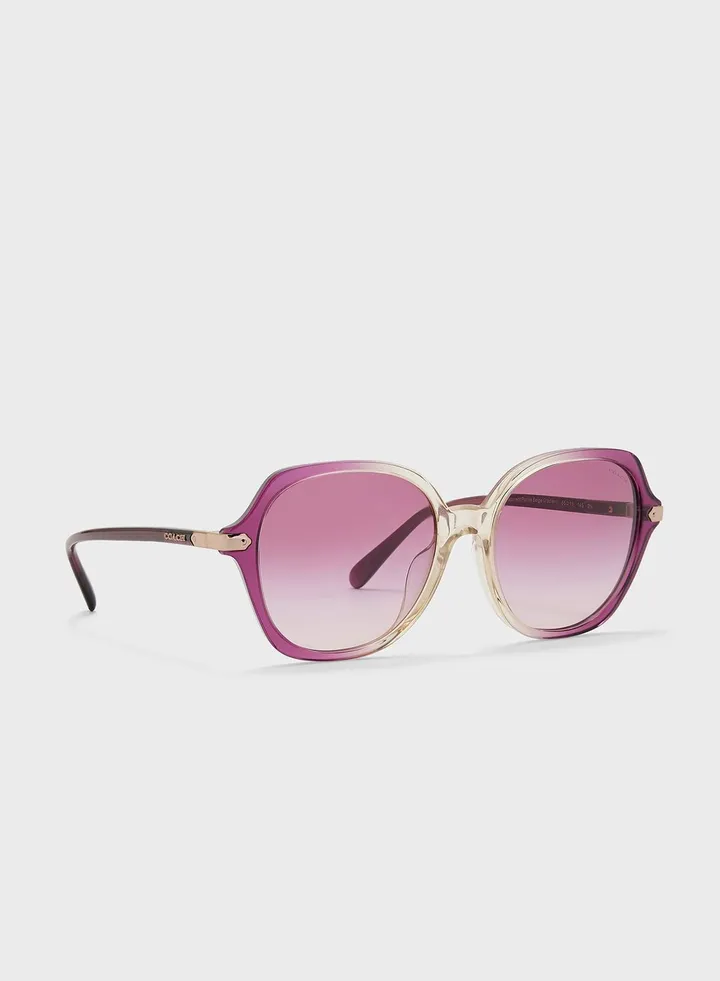 0Hc8377U Oversized Sunglasses