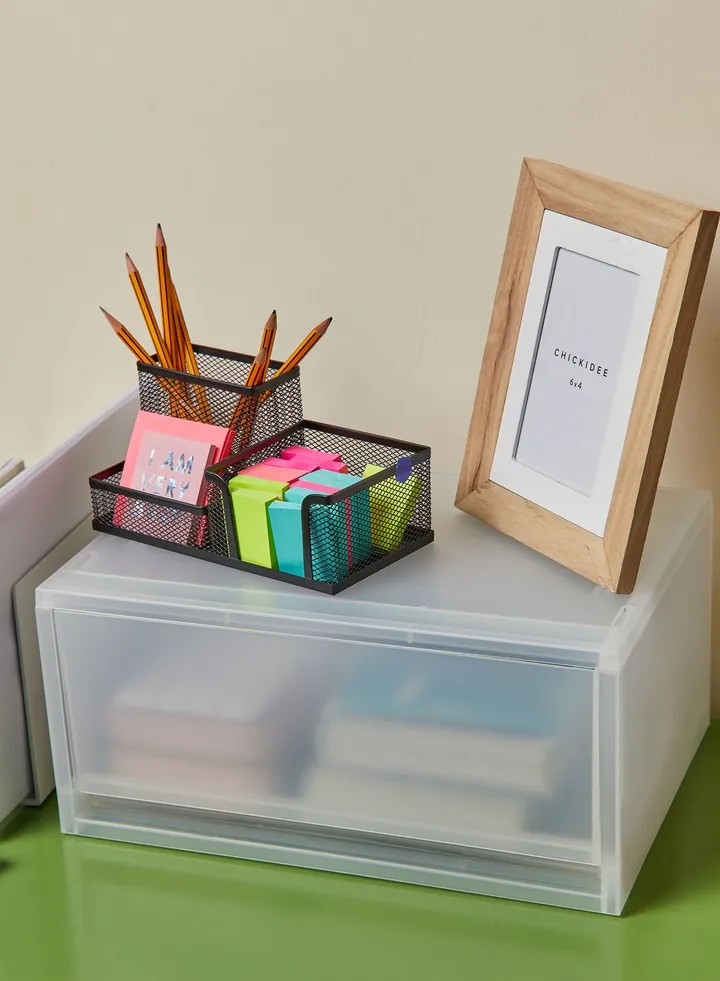 Large Storage Case
