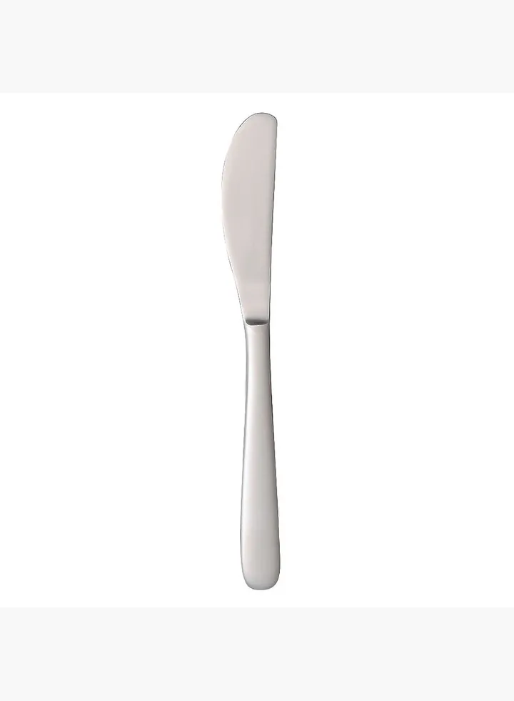 Stainless Steel Butter Spreader, L 16 cm, Silver