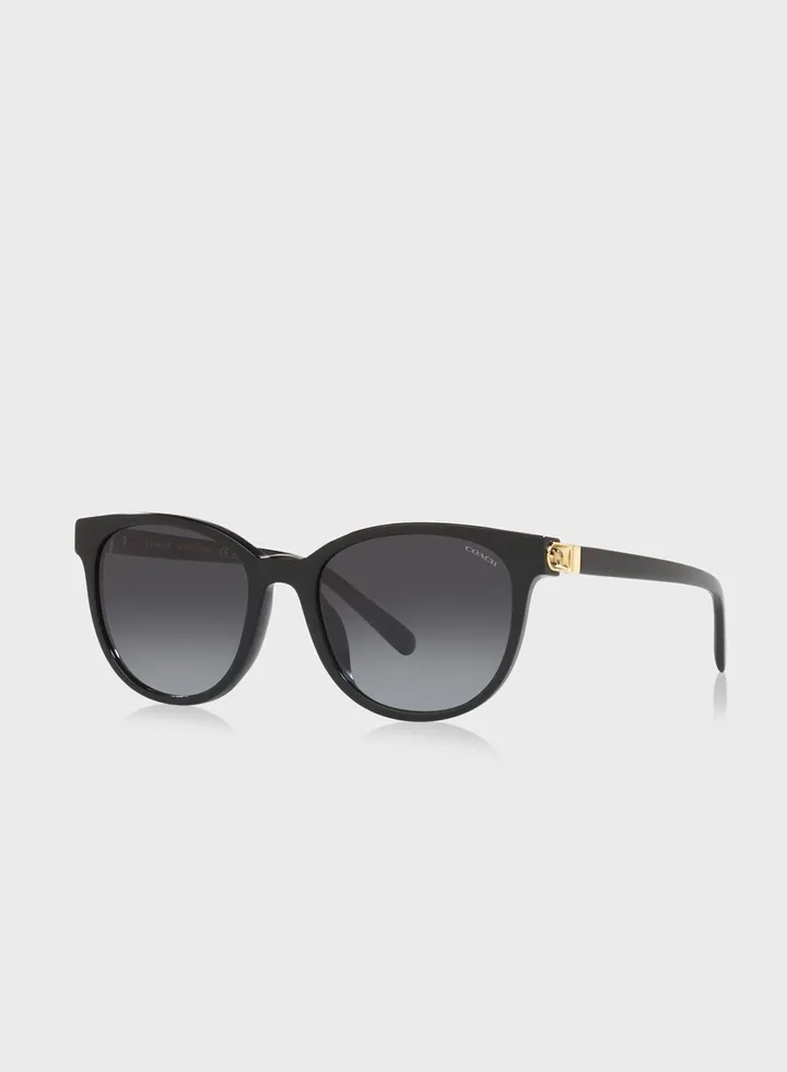 0Hc8350U Wayfarer Sunglasses