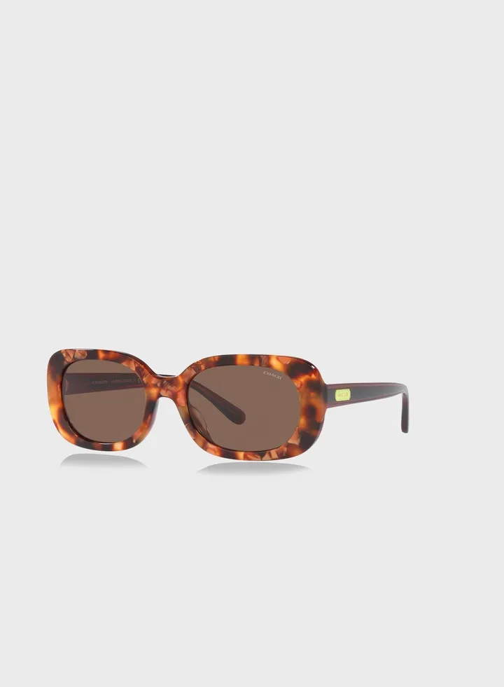 0Hc8358U Wayfarer Sunglasses