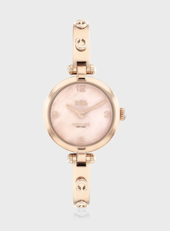 Cary Steel Strap Analog Watch