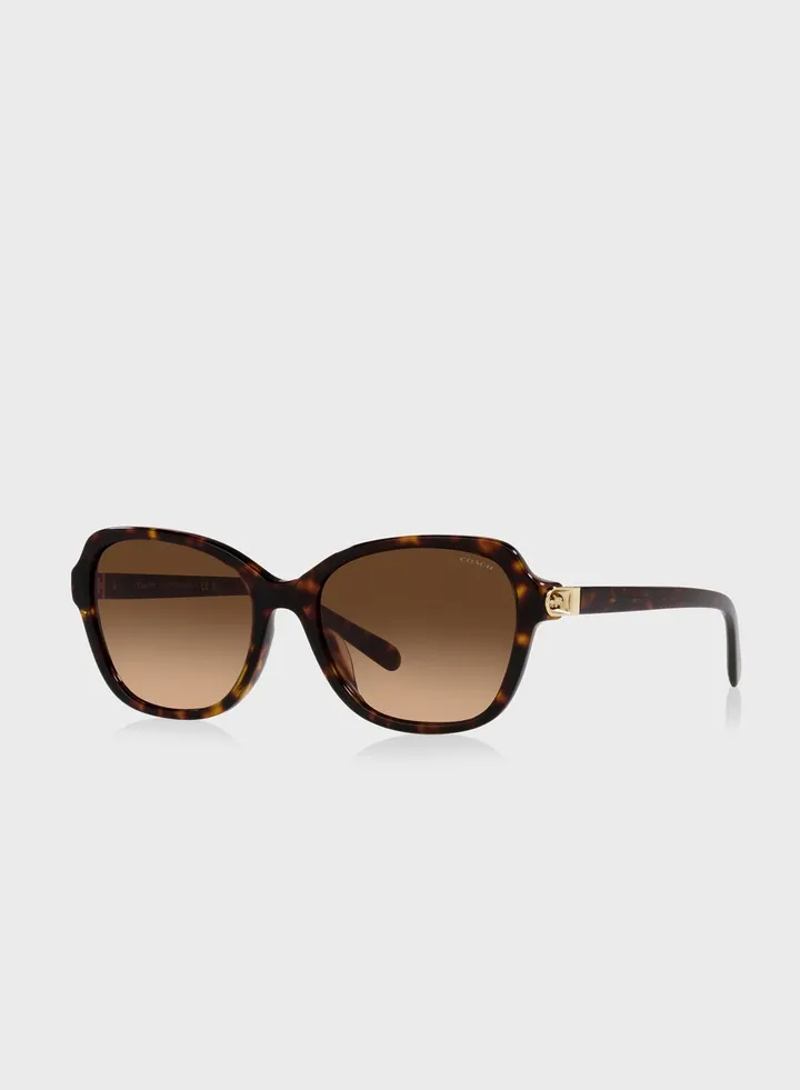 0Hc8349U Wayfarer Sunglasses