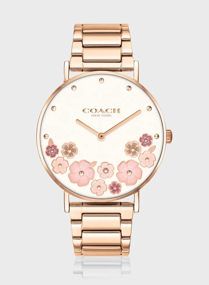 Perry Analog Watch