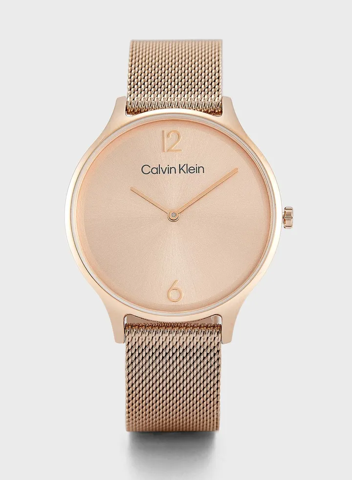 Timeless Mesh Analog Watch