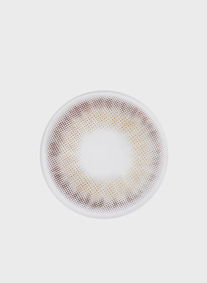Layala 2020 Collection - 2 Lenses - Ash Gray