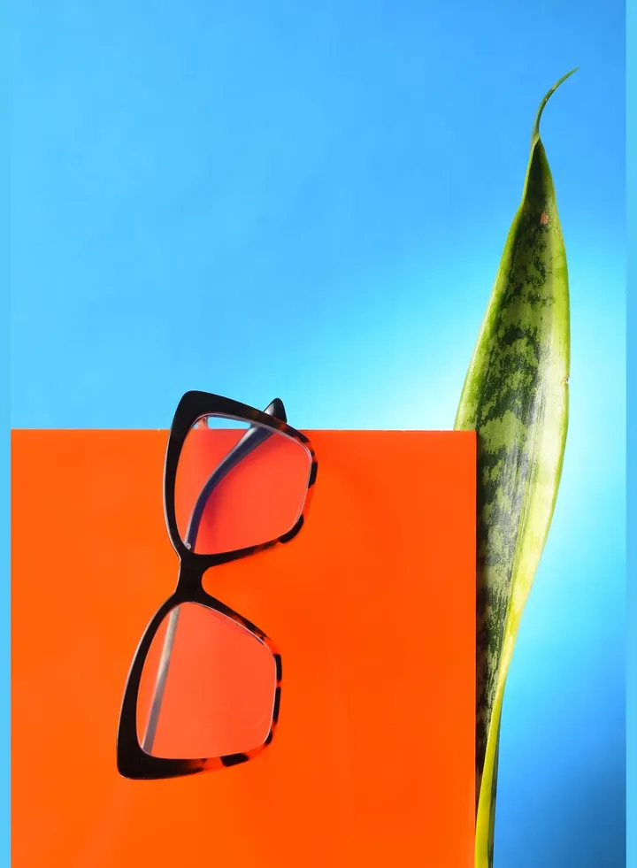 Women Clear Lens Brown Butterfly Sunglasses