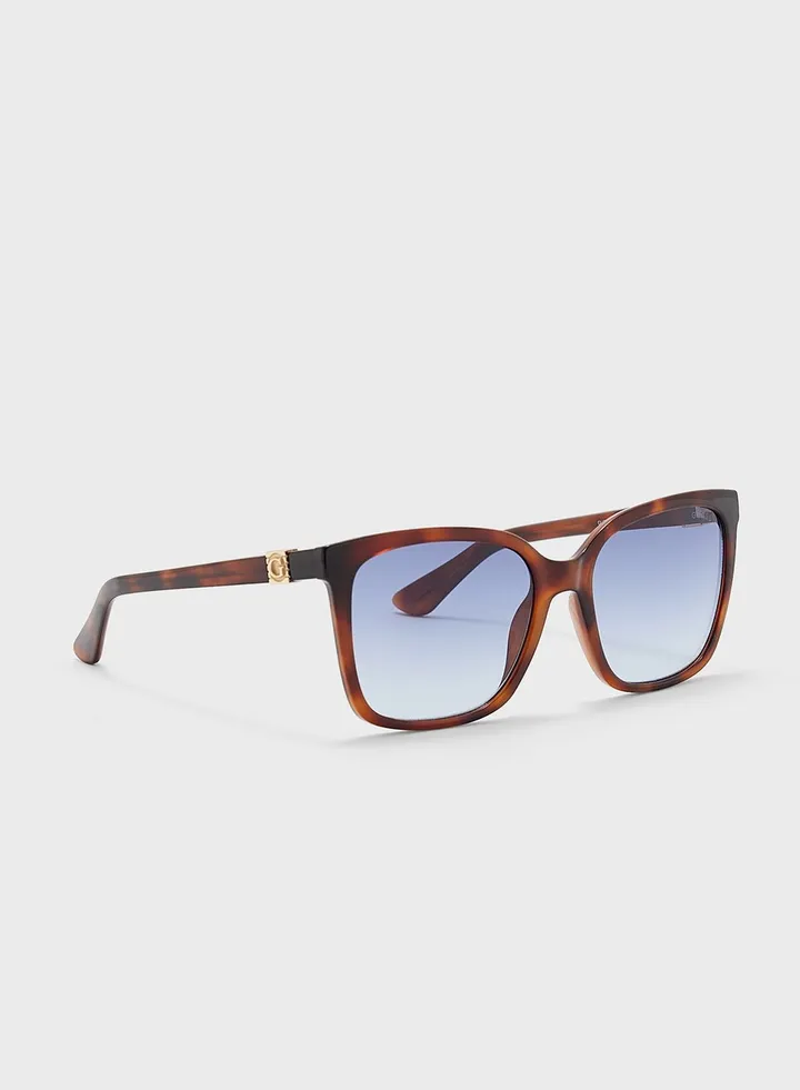 Wayfarers Sunglasses
