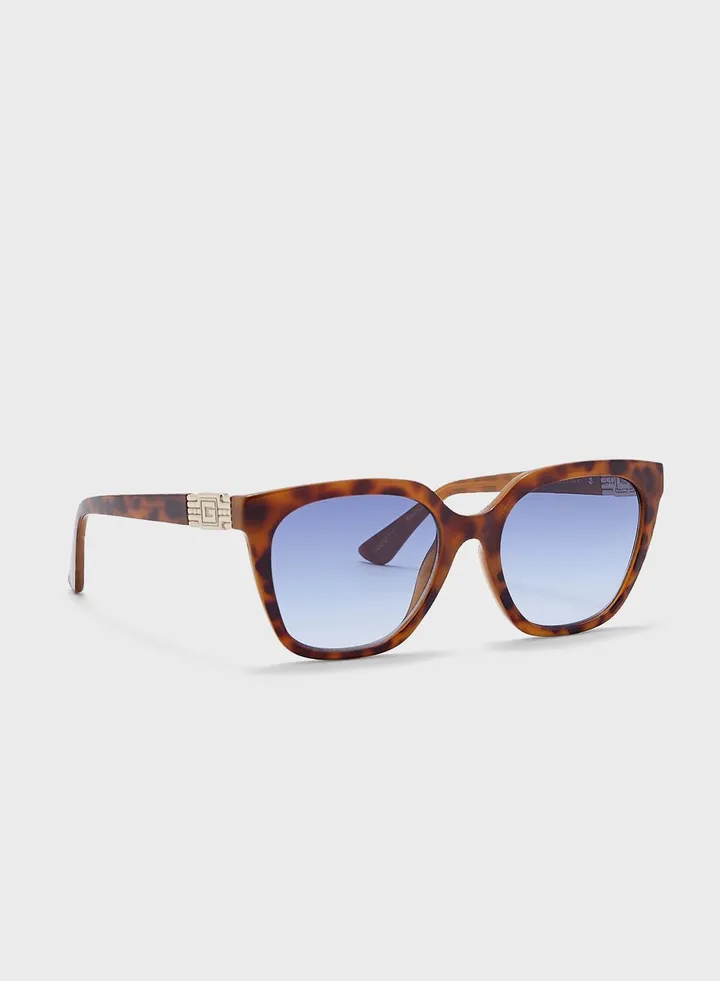 Wayfarers Sunglasses