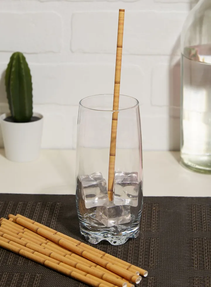 Tropical Fiesta Paper Straws 30 Pk