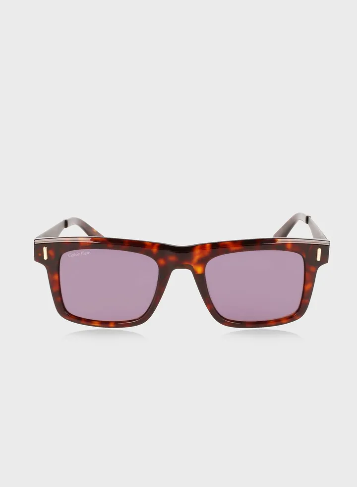 Wayfarers Sunglasses
