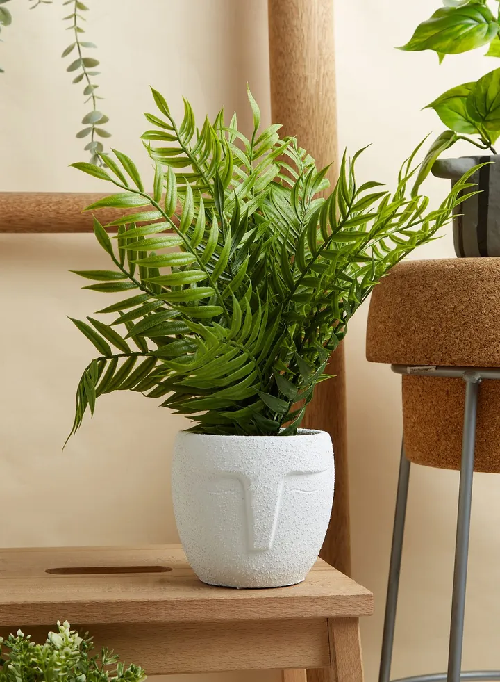 Fiori Faux Fern Plant In Ceramic Face Pot