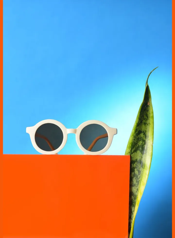 Women Brown Lens White Oval Sunglasses