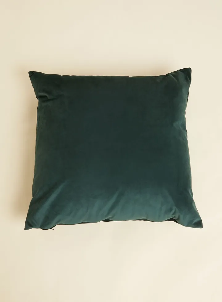 Velvet Cushion