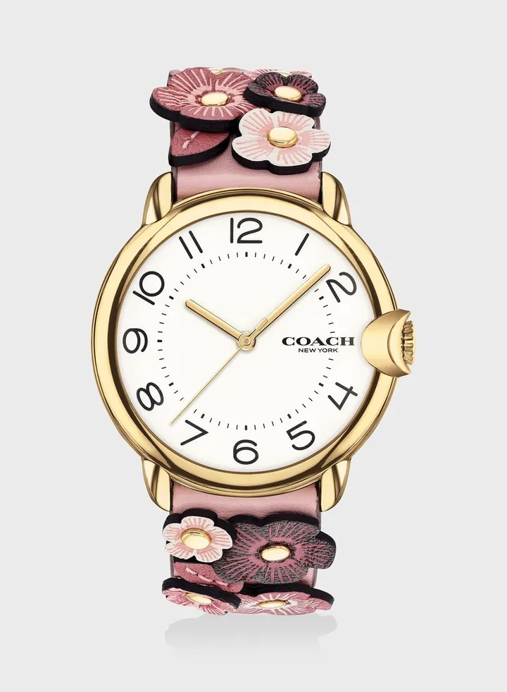 Arden Analog Watch