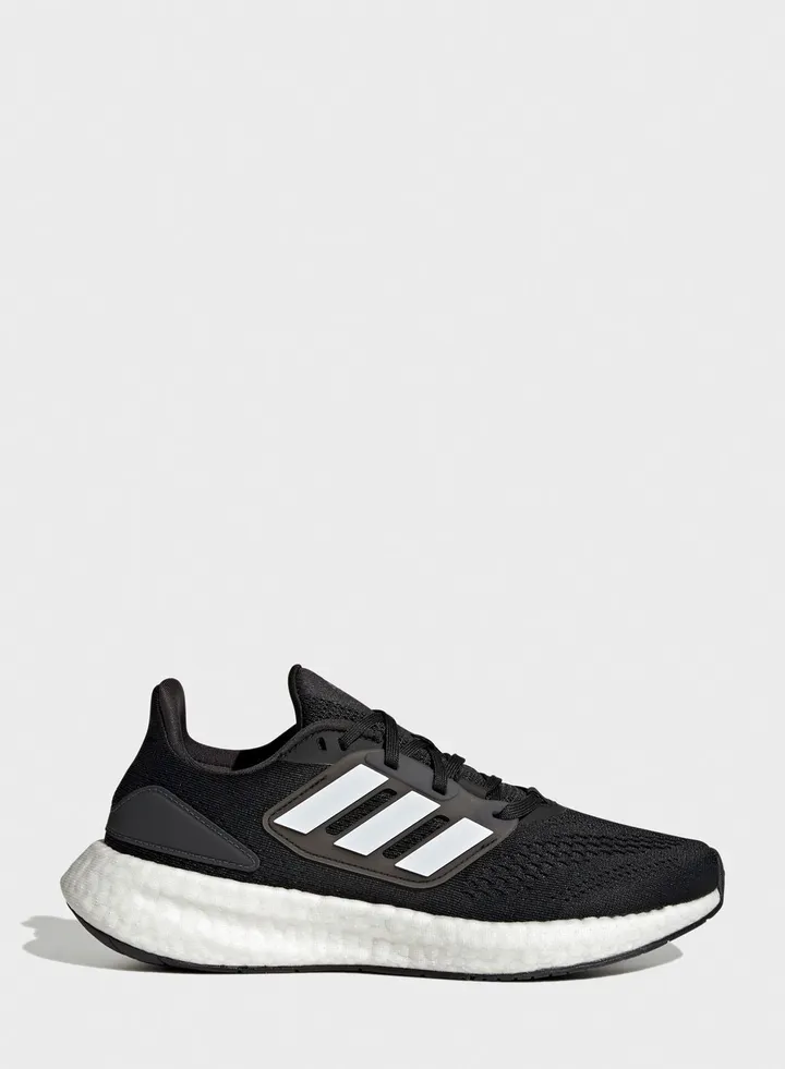 Pureboost 22
