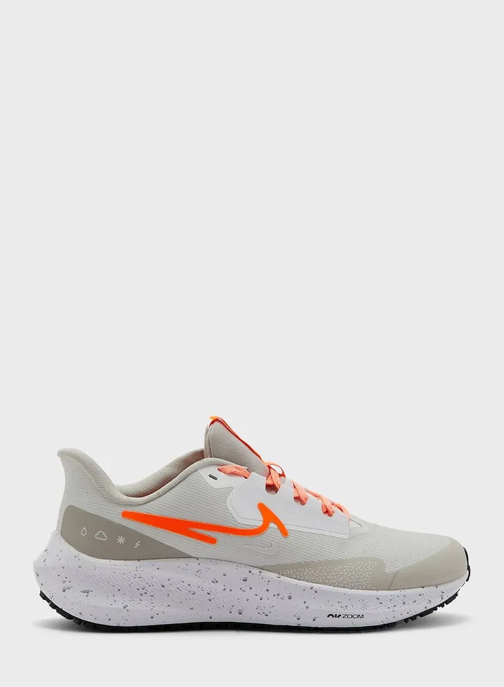 Pegasus 39 Shield