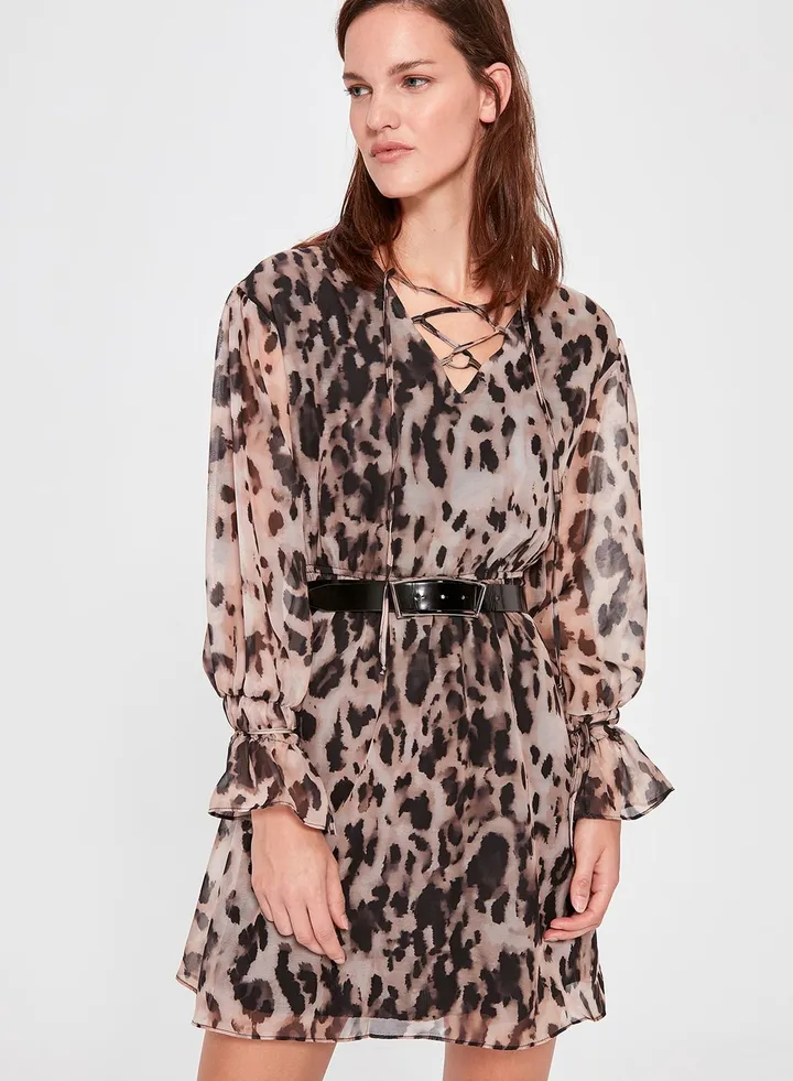 Sheer Printed Dress