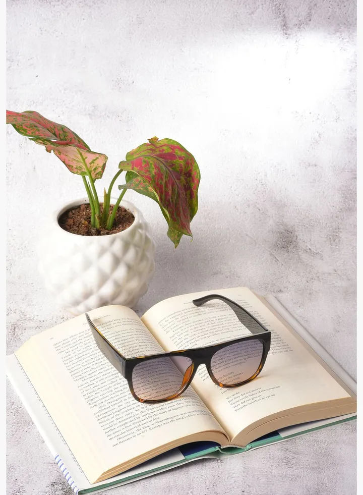 Women Purple Lens Black Wayfarer Sunglasses
