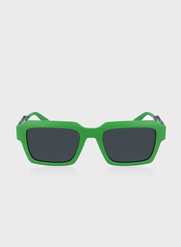 Wayfarer Sunglasses