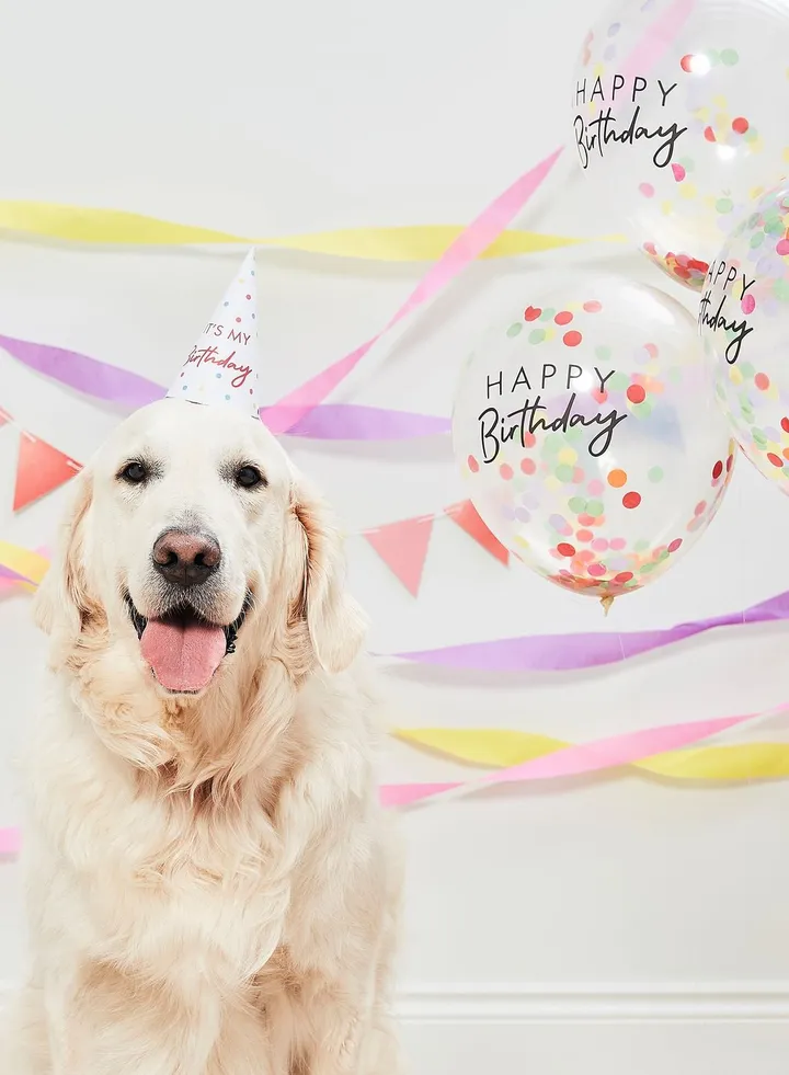 Pet Party Kit