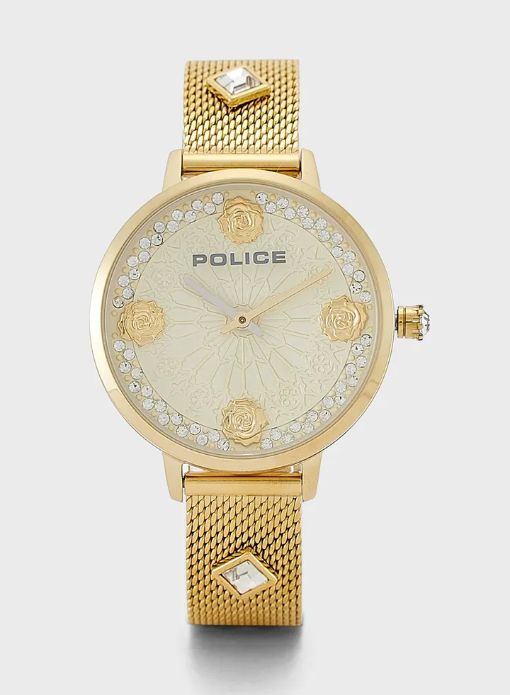 Socotra Analog Watch