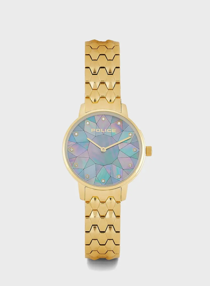Chapada Analog Watch