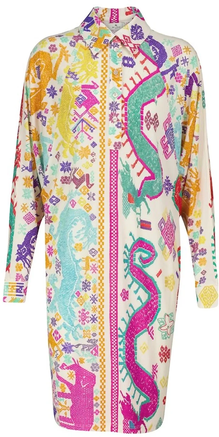 Printed shirt dress
