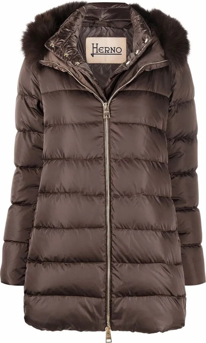 Hooded Puffer Jacket