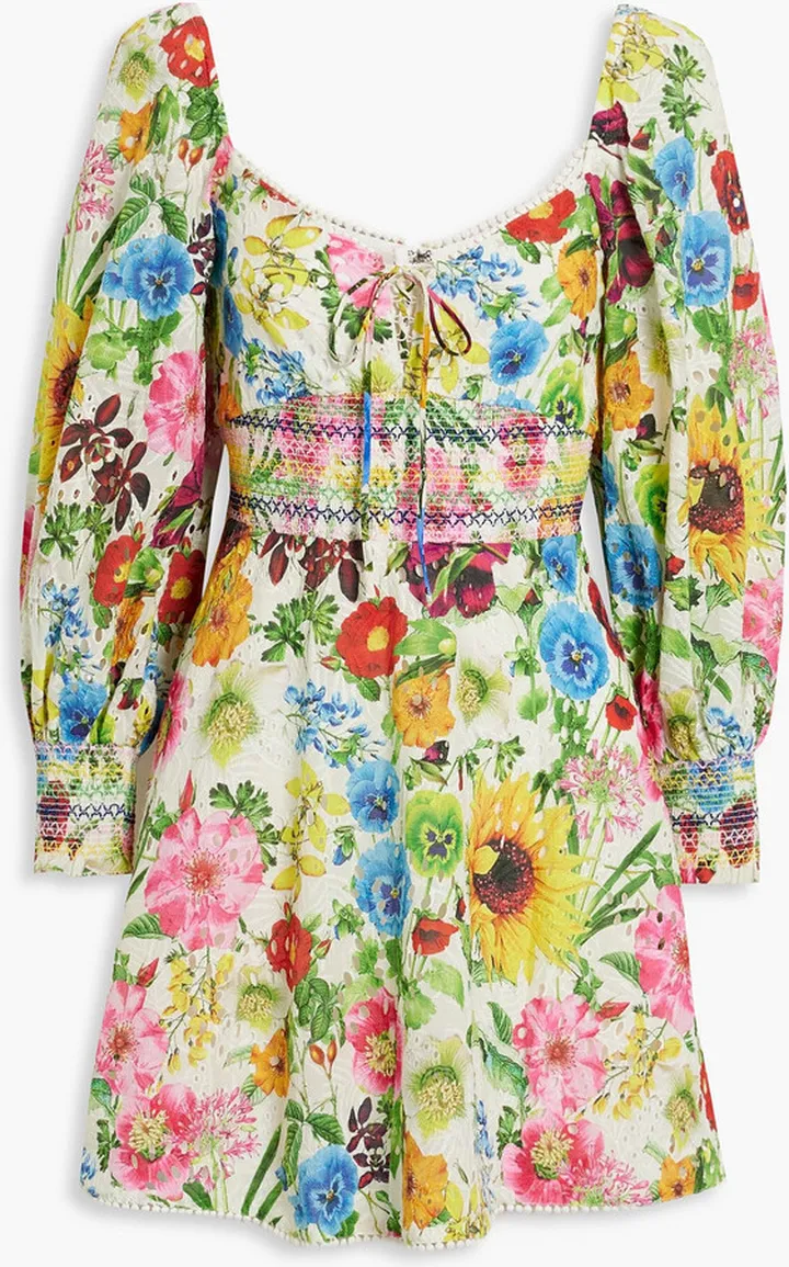 Crawford floral-print broderie anglaise cotton mini dress