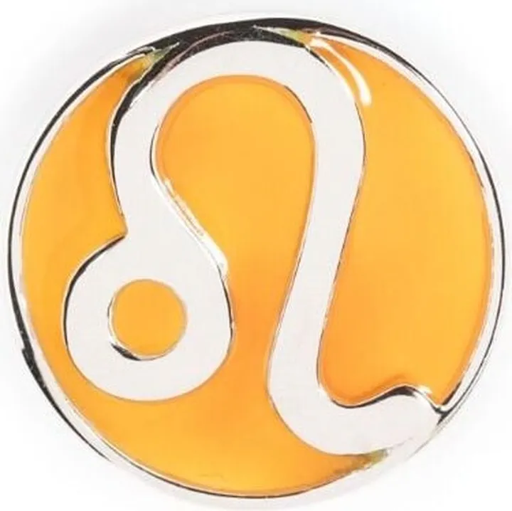 Leo POP Coin charm