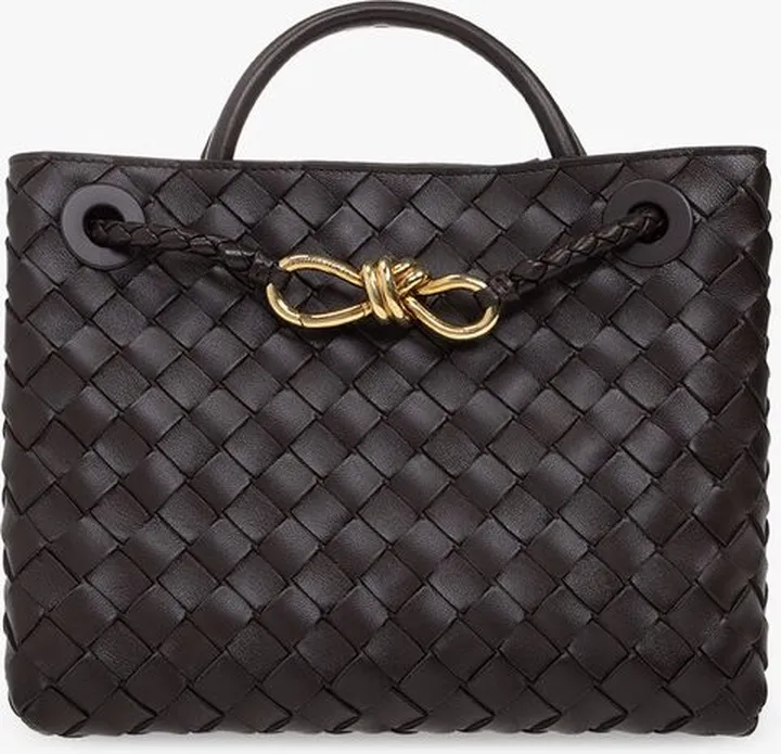 Bottega Veneta Andiamo Small Shoulder Bag