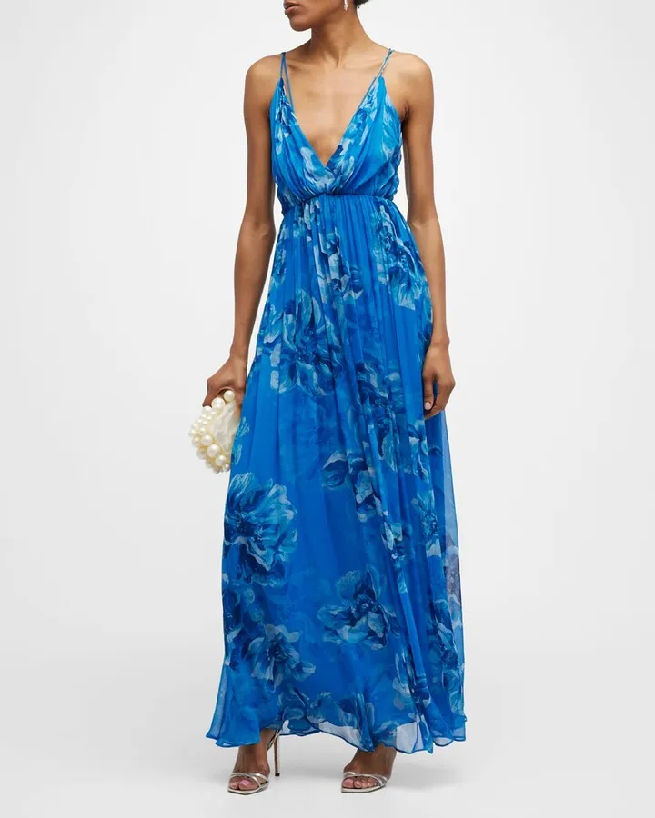 Mindy Pleated Floral-Print Chiffon Gown