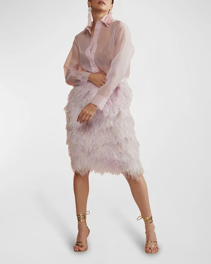 Sheer Shimmer Organza Shirt