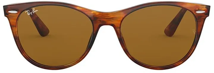 Ray-Ban Wayfarer II Classic Sunglasses