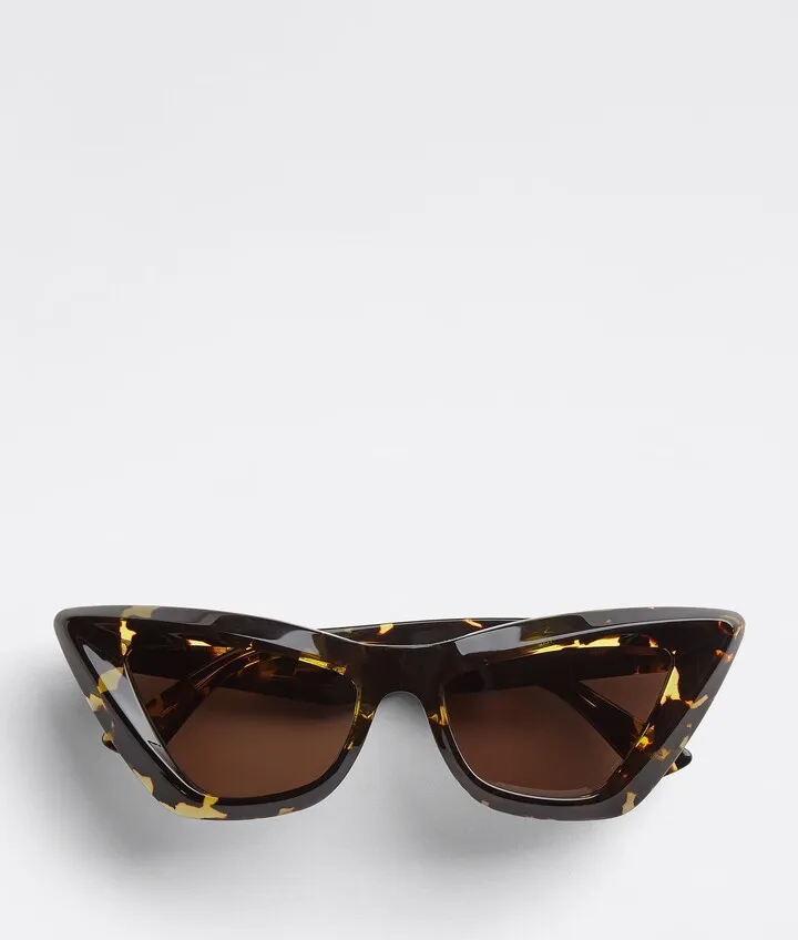 Angle Acetate Pointed Cat Eye Sunglasses