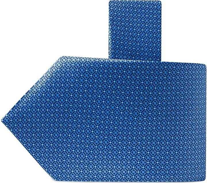 Luxury Printed Silk Tie