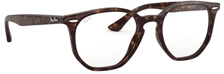 Ray-Ban Hexagonal Frame Glasses