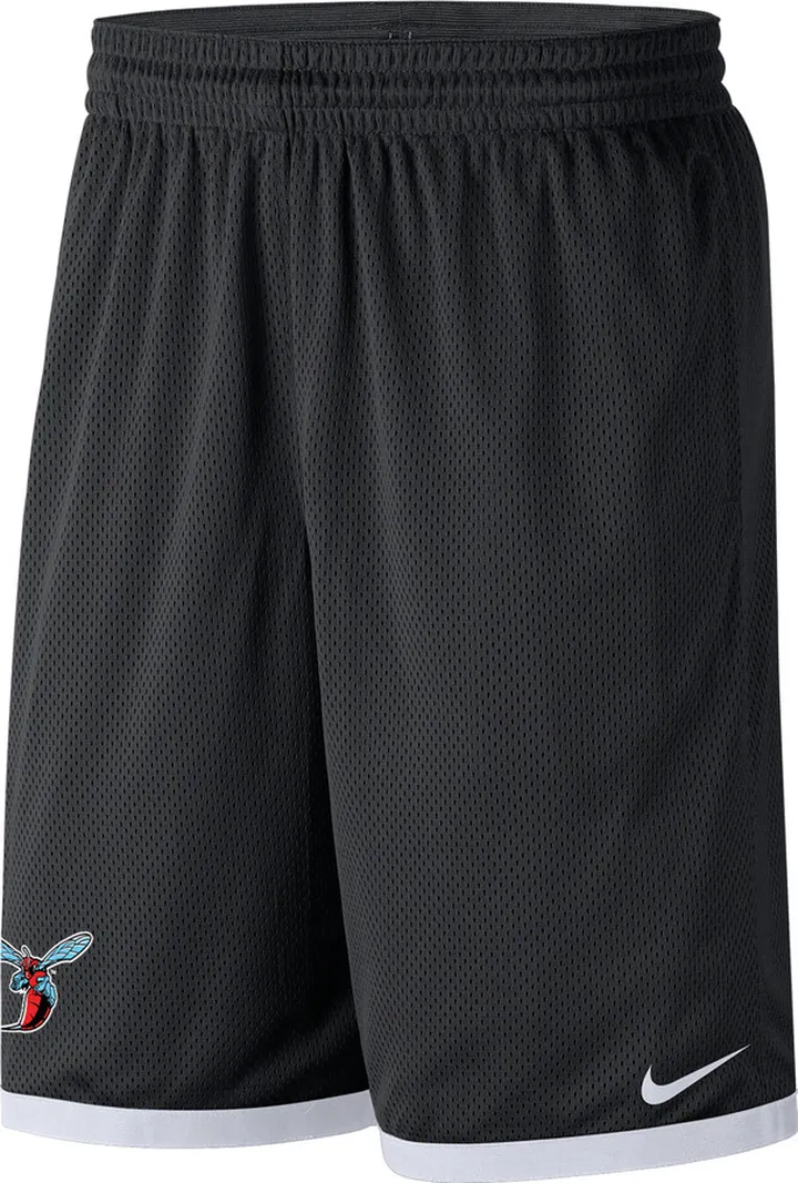 Delaware State Nike Men's College Mesh Shorts in Black