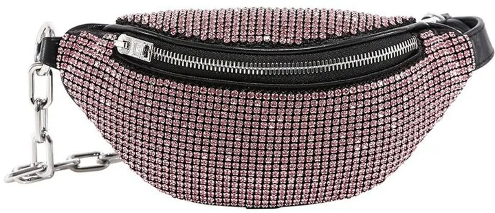 Alexander Wang Attica Rhinestone Fanny Pack