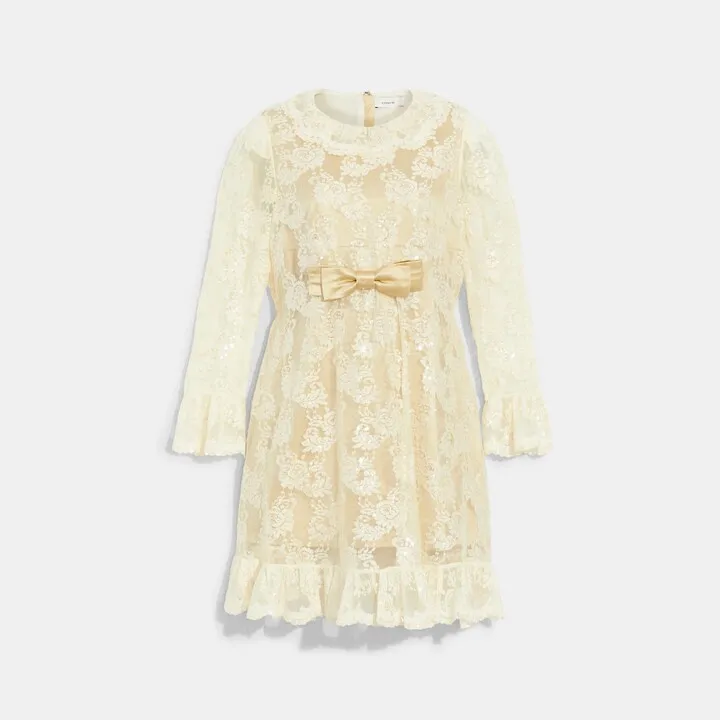 Embroidered Lace Dress