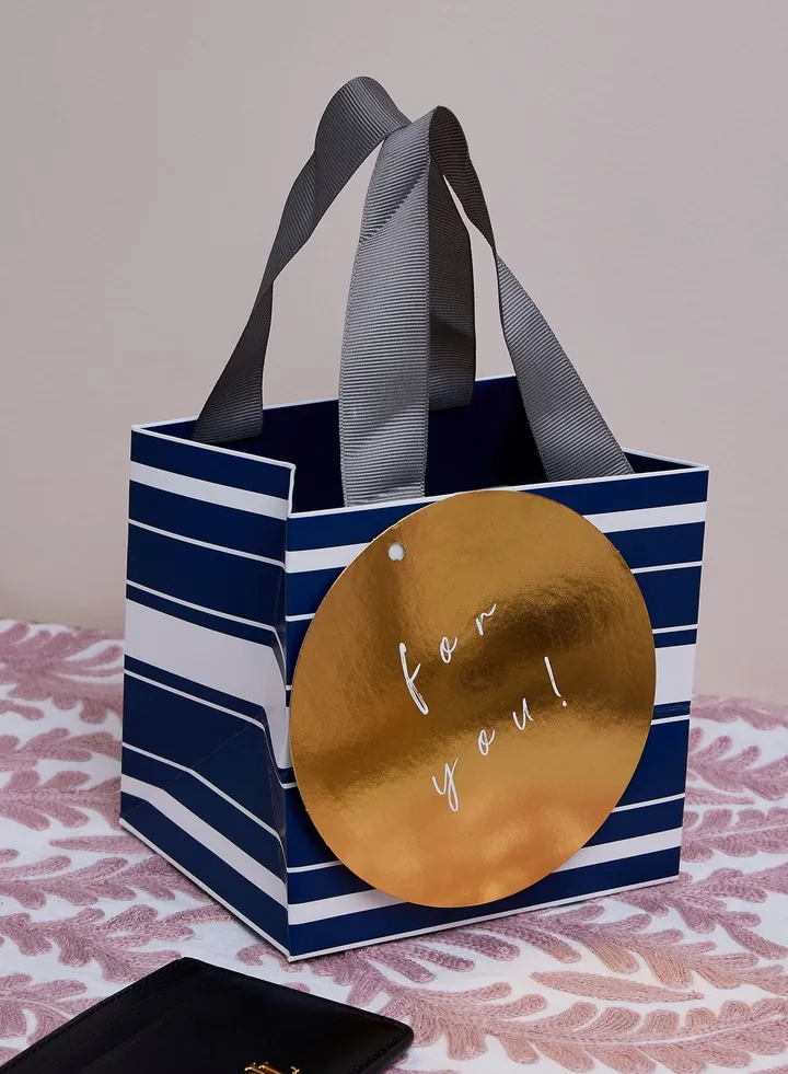Navy Stripe Mug Bag
