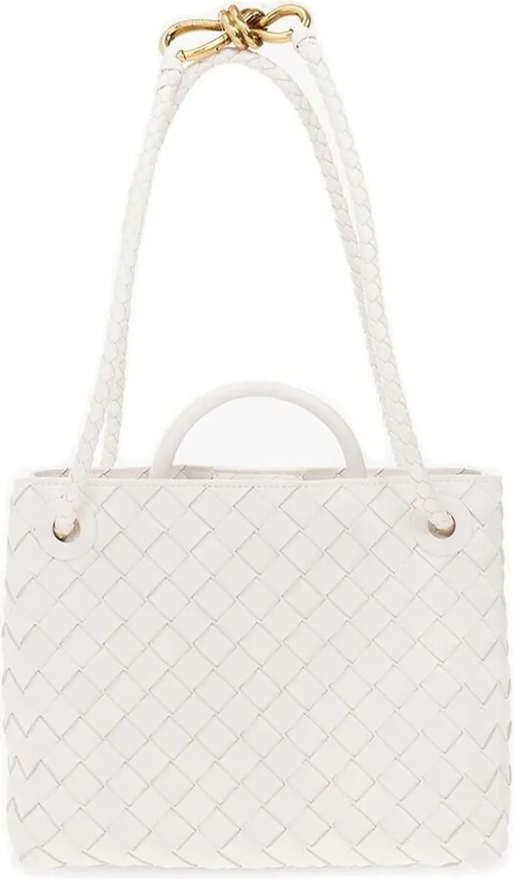 Bottega Veneta Andiamo Small Shoulder Bag