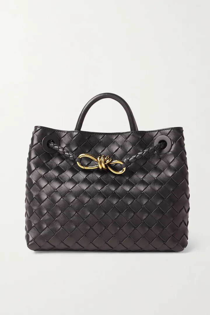 Bottega Veneta - Andiamo Small Intrecciato Leather Tote - Brown