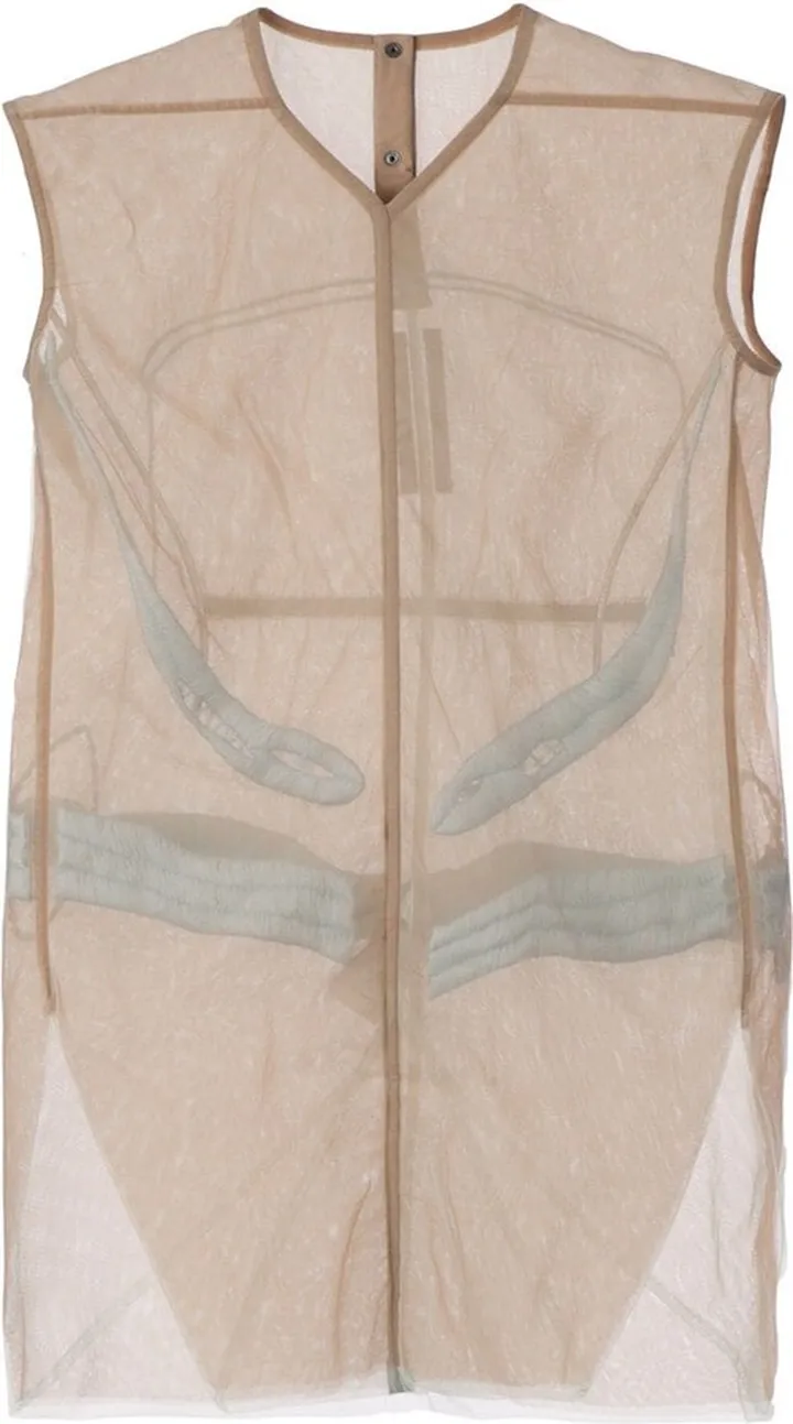 Embroidered Sheer Dress