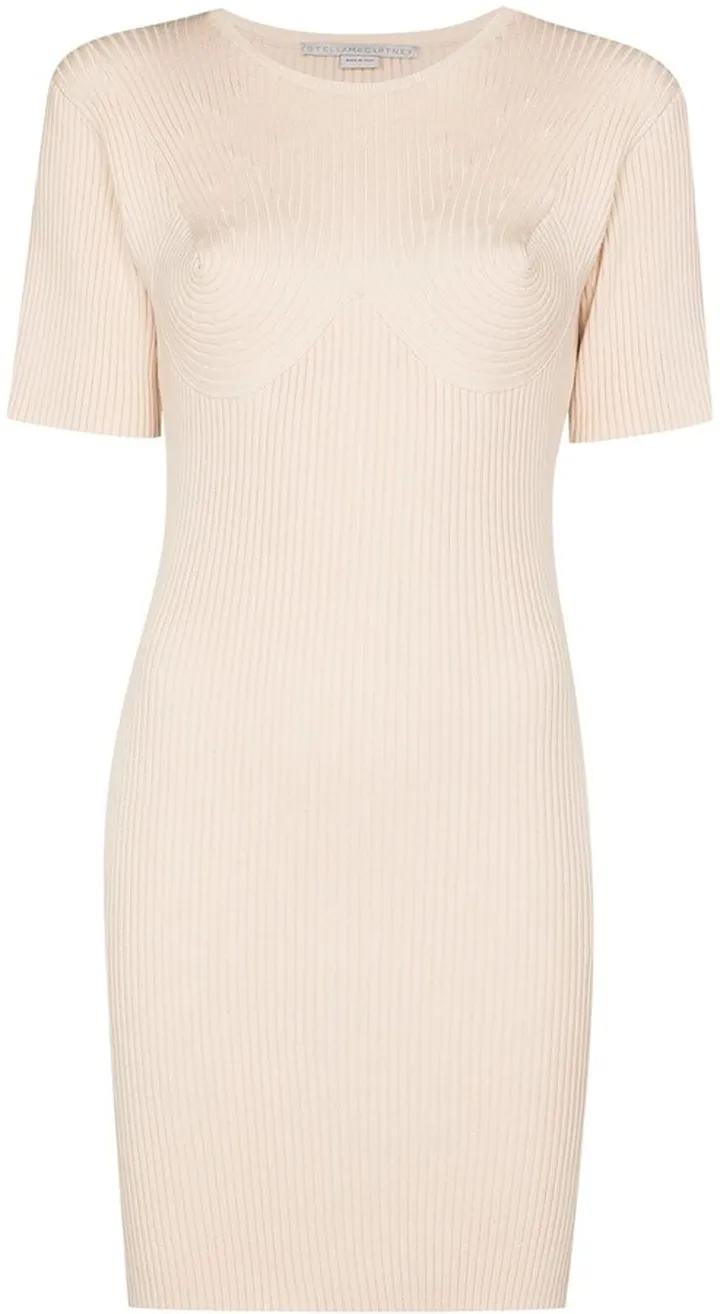 Ribbed Knitted Mini Dress